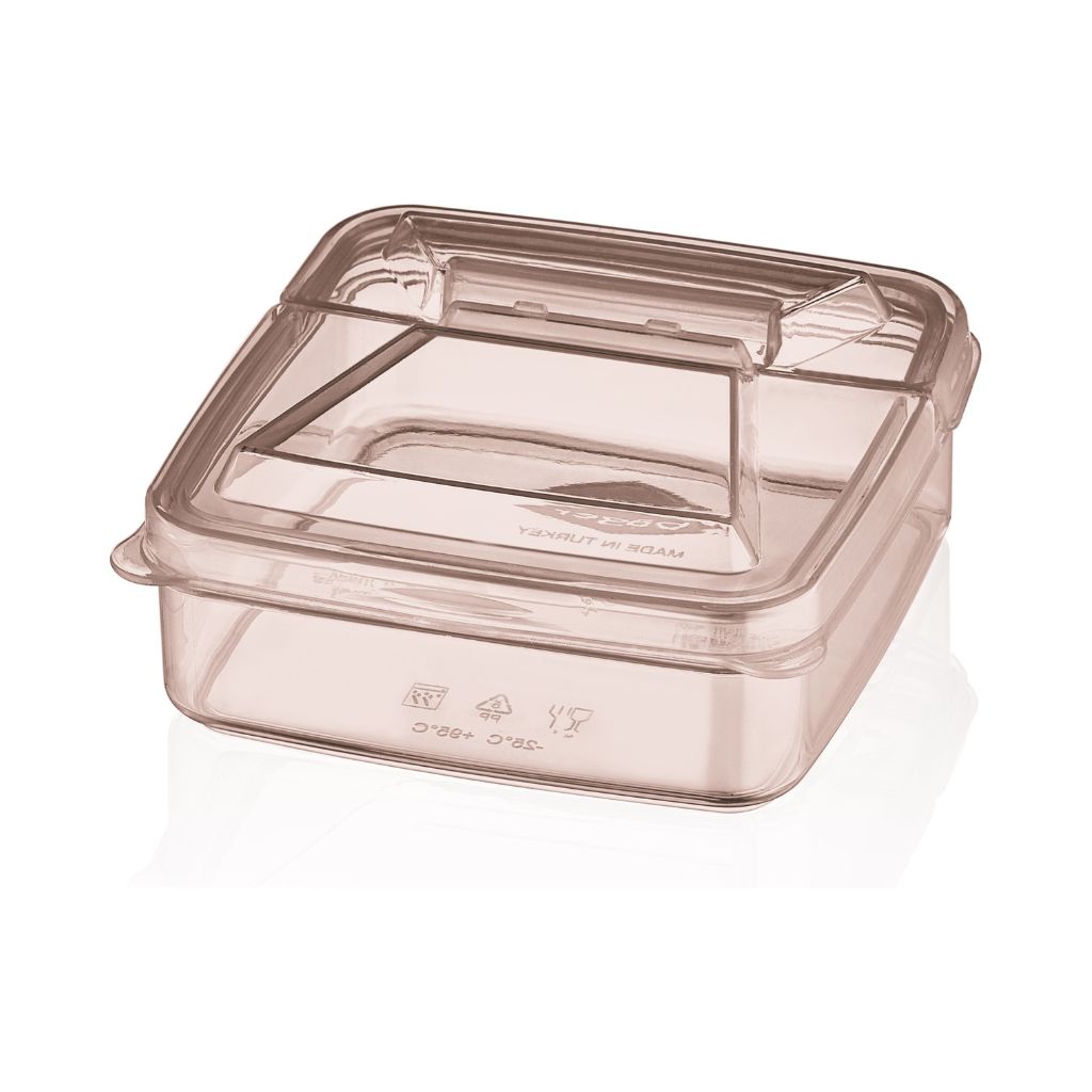 Smart Square Storage Container 250ML