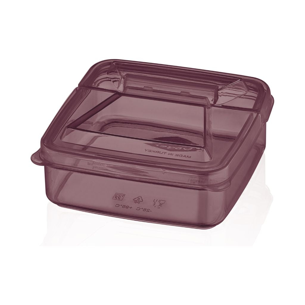 Smart Square Storage Container 250ML