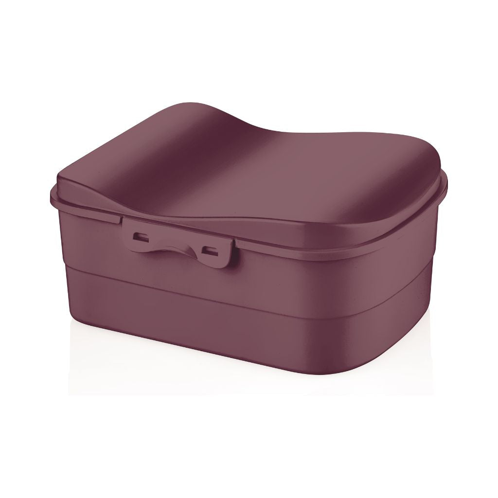 Luna Colored Lunch Box with Clip Locks